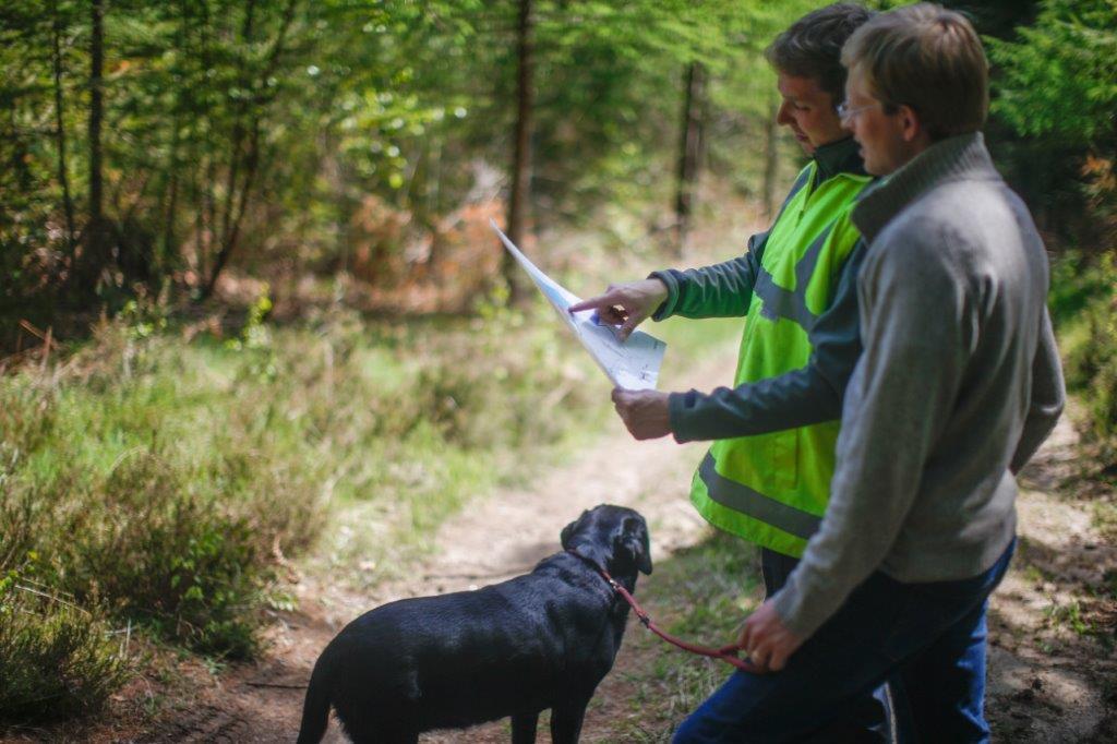 la forêt par CFBL