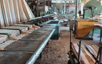 Daussion Bois : la passion du bois local depuis plus de 40 ans