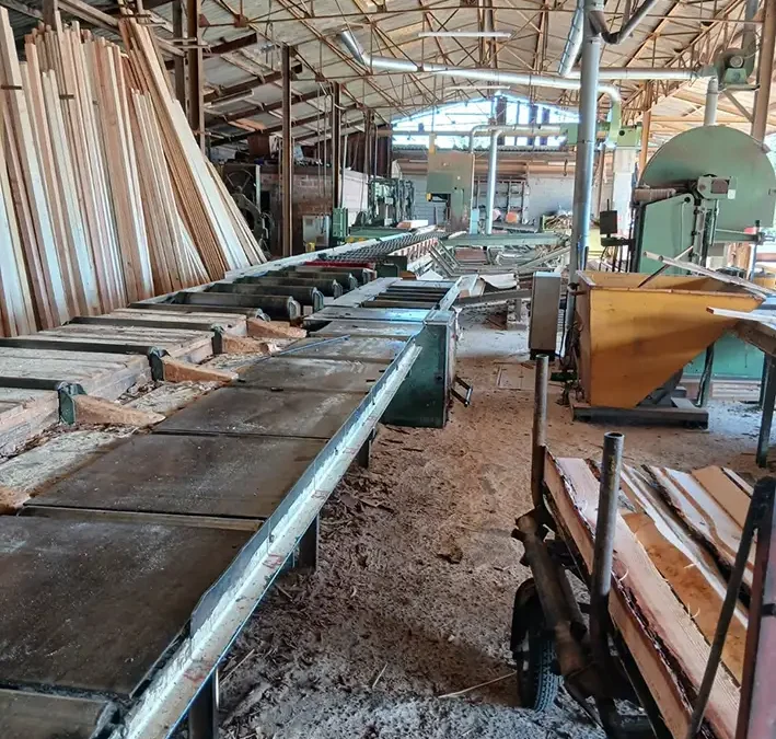 Daussion Bois : la passion du bois local depuis plus de 40 ans