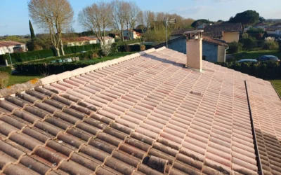 Nettoyage écologique de vos toitures, façades et sols avec Vaporeno.