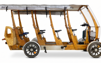 Woodybus et Woodytruck des quadricycles en bois avec assistance électrique !