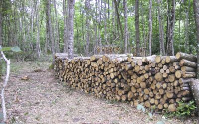 Chauffage au bois : la performance des meilleurs appareils peut être fortement impactée par la qualité du combustible