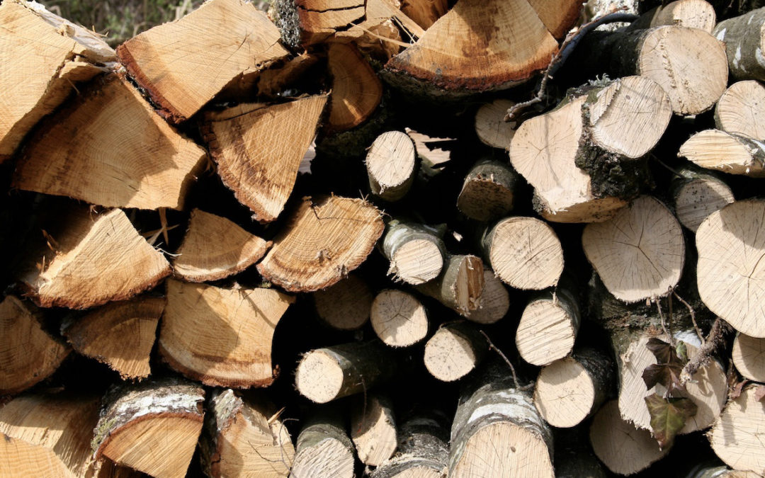 Le bois énergie : solution économique pour se chauffer