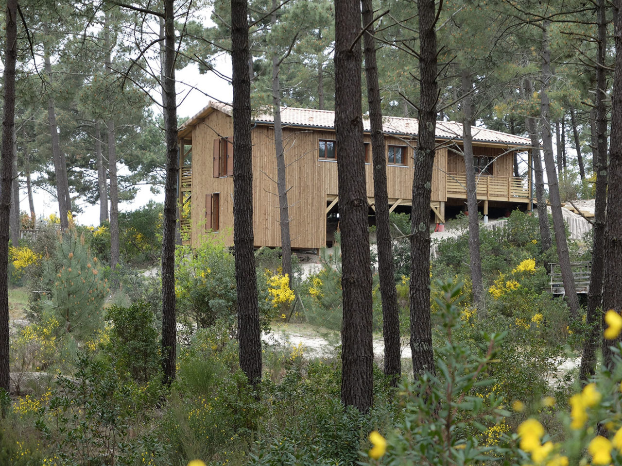Une maison bois sur pilotis dans une pinède en Aquitaine par Ami Bois — free download