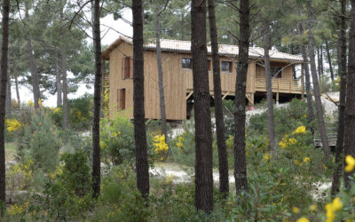 Une maison bois sur pilotis dans une pinède en Aquitaine par Ami Bois