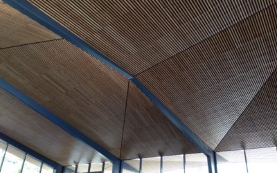 2 000 m2 de plafond bois pour le stade nautique de Pau