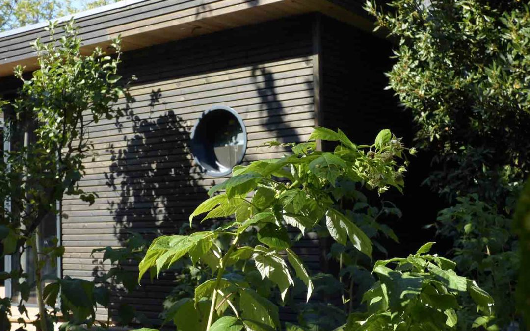 Studio de jardin indépendant en ossature bois avec toiture végétalisée par Be Bois