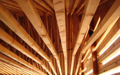 Le traitement des bois extérieurs et intérieurs TX203 CECIL Pro obtient une AMM